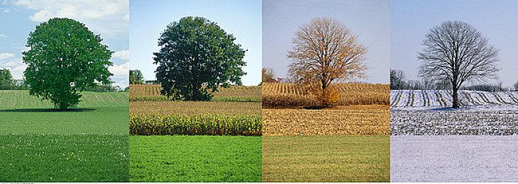 《龙女：烈焰之令》8月10日登陆主机 《英雄无敌》风格