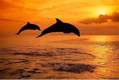 Steam Deck发布《街头霸王5》44秒运行视频